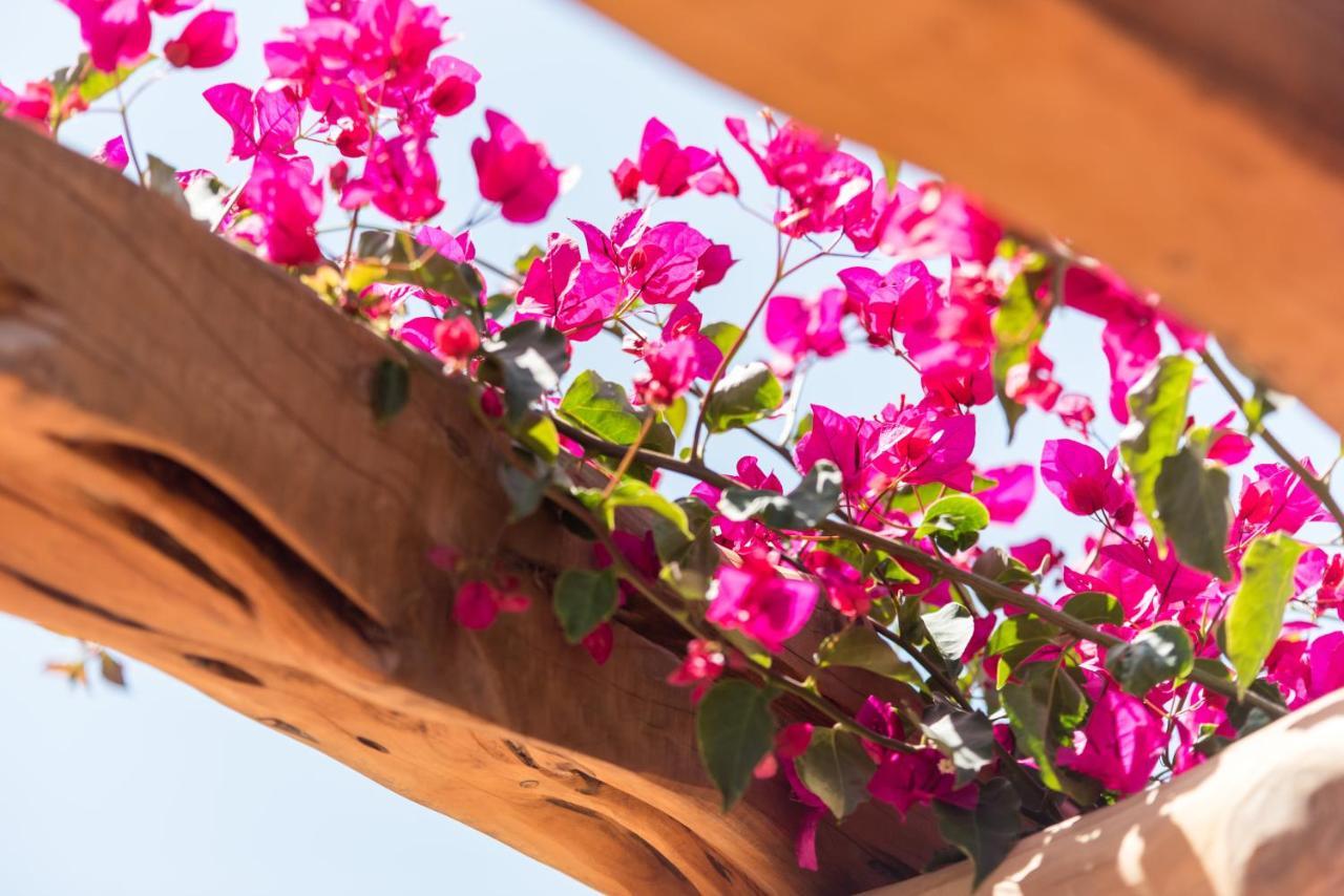Valley Club Ibiza - Boutique Agroturismo Sant Joan De Labritja Zewnętrze zdjęcie