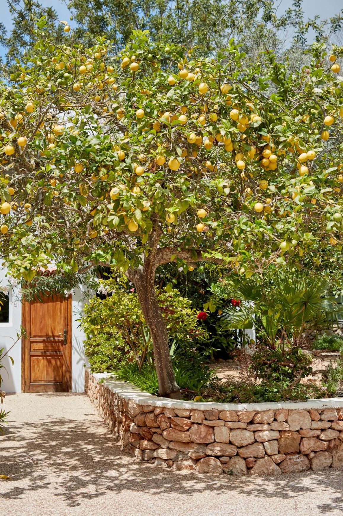 Valley Club Ibiza - Boutique Agroturismo Sant Joan De Labritja Zewnętrze zdjęcie